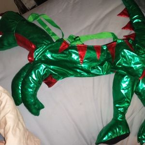 Child OSFM Dragon costume